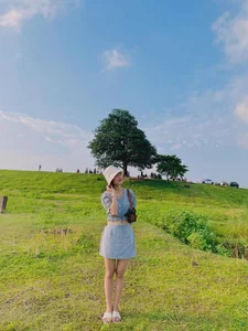 Visit the Famous Lonely Tree from Hoa Minzy's Bac Bling MV - image 1