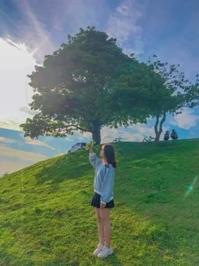 Visit the Famous Lonely Tree from Hoa Minzy's Bac Bling MV - image 7