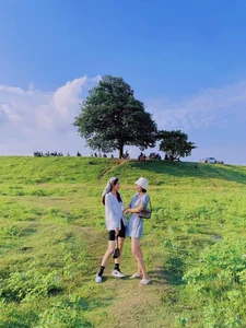 Visit the Famous Lonely Tree from Hoa Minzy's Bac Bling MV - image 4
