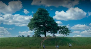 Visit the Famous Lonely Tree from Hoa Minzy's Bac Bling MV - image 6
