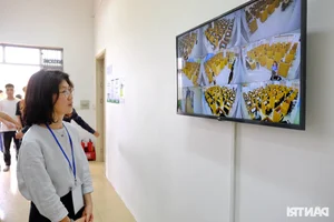 Labor Market Update: Nearly 8,000 Workers Compete for Opportunities in South Korea - image 13