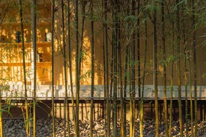 Modern Minimalist Glass and Wood Forest Retreat: A Serene One-Story Sanctuary for Slow Living and Nature Immersion - image 8