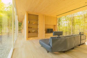 Modern Minimalist Glass and Wood Forest Retreat: A Serene One-Story Sanctuary for Slow Living and Nature Immersion - image 24
