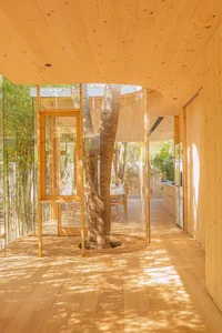 Modern Minimalist Glass and Wood Forest Retreat: A Serene One-Story Sanctuary for Slow Living and Nature Immersion - image 21