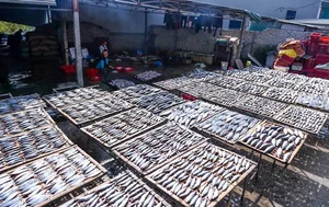 Discover Traditional Culinary Craft Villages of Nghe An Province - image 2