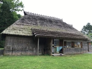 The Mysterious Traditions and History of the Ainu People in Japan - image 6