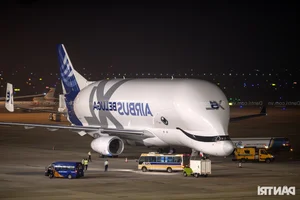 The Giant Airbus Beluga XL 'White Whale' Makes Historic First Landing in Vietnam - image 3