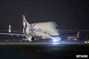 The Giant Airbus Beluga XL 'White Whale' Makes Historic First Landing in Vietnam - image 7