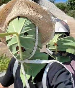 Creative Eco-Friendly Lotus Leaf Masks Go Viral in China for Their Unique DIY Design - image 4