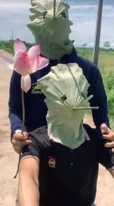 Creative Eco-Friendly Lotus Leaf Masks Go Viral in China for Their Unique DIY Design - image 1