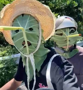 Creative Eco-Friendly Lotus Leaf Masks Go Viral in China for Their Unique DIY Design - image 3