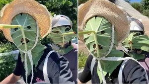 Creative Eco-Friendly Lotus Leaf Masks Go Viral in China for Their Unique DIY Design - image 6