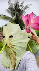 Creative Eco-Friendly Lotus Leaf Masks Go Viral in China for Their Unique DIY Design - image 5