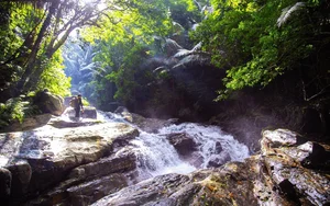 Wild Beauty: A Guide to Trekking Thác Dương Cầm This Summer - image 5