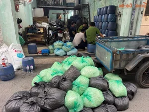 Food Safety Alert: Over 1,000 Tons of Contaminated Bean Sprouts Found in Ho Chi Minh City - image 1