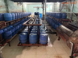 Food Safety Alert: Over 1,000 Tons of Contaminated Bean Sprouts Found in Ho Chi Minh City - image 0