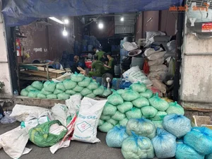 Food Safety Alert: Over 1,000 Tons of Contaminated Bean Sprouts Found in Ho Chi Minh City - image 3