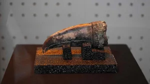Discovery of a 5,000-Year-Old Tomb: The Secret Life of an Ancient Noblewoman - image 0
