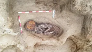 Discovery of a 5,000-Year-Old Tomb: The Secret Life of an Ancient Noblewoman - image 4
