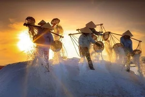 Experiencing the Salt Fields of Sa Huynh: A Day in the Life of a Farmer - image 4