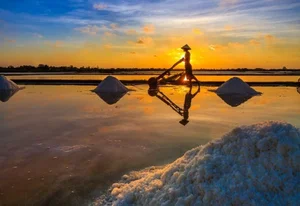 Experiencing the Salt Fields of Sa Huynh: A Day in the Life of a Farmer - image 2