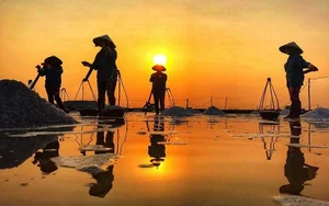 Experiencing the Salt Fields of Sa Huynh: A Day in the Life of a Farmer - image 3