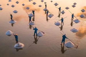 Experiencing the Salt Fields of Sa Huynh: A Day in the Life of a Farmer - image 0