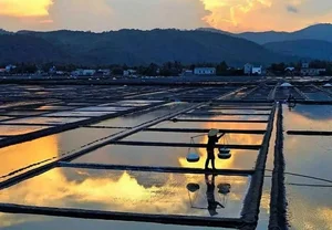 Experiencing the Salt Fields of Sa Huynh: A Day in the Life of a Farmer - image 1
