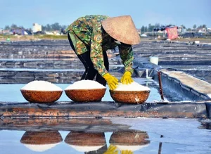 Experiencing the Salt Fields of Sa Huynh: A Day in the Life of a Farmer - image 8