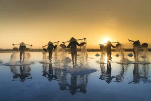Experiencing the Salt Fields of Sa Huynh: A Day in the Life of a Farmer - image 9