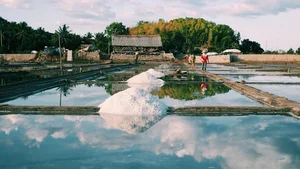 Experiencing the Salt Fields of Sa Huynh: A Day in the Life of a Farmer - image 5