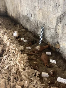 Secrets Uncovered in a 2,000-Year-Old Ancient Roman Tomb in Italy - image 5