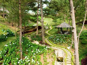 5 Peaceful Places in Da Lat You Must Visit for Serenity - image 7