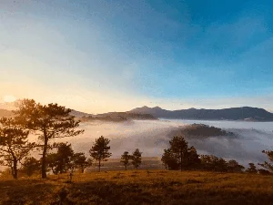 5 Peaceful Places in Da Lat You Must Visit for Serenity - image 0