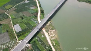The Transformation of Quang Ngai Coastal Road Boosts Central Vietnam Tourism - image 12