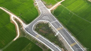 The Transformation of Quang Ngai Coastal Road Boosts Central Vietnam Tourism - image 4