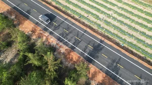 The Transformation of Quang Ngai Coastal Road Boosts Central Vietnam Tourism - image 7