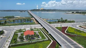 The Transformation of Quang Ngai Coastal Road Boosts Central Vietnam Tourism - image 3