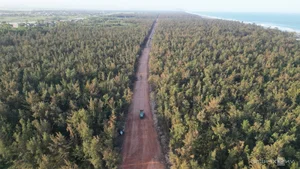 The Transformation of Quang Ngai Coastal Road Boosts Central Vietnam Tourism - image 10