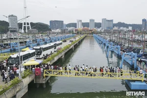 Quang Ninh Welcomes 4,500 Indian Tourists with Spectacular Lion Dance - image 4