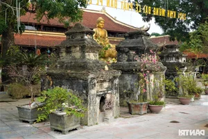 Stunning Giant Temple Gate Becomes a Must-Visit Tet Destination - image 0