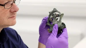 Stunning Treasure: Over 800 Ancient Artifacts Revealed in Secret Unveiling - image 6