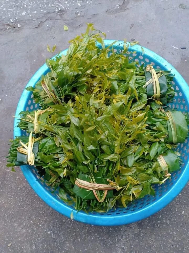 The Rare Forest Vegetable Selling for $150,000/kg That Keeps Selling Out