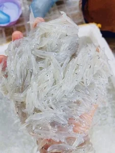 How a Humble Traditional Fish Became a Sought-After Gourmet Delicacy - image 7