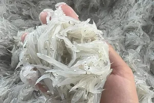 How a Humble Traditional Fish Became a Sought-After Gourmet Delicacy - image 0
