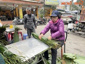 Inside Hanoi's Largest Dong Leaf Market Bustling for Tet Holiday - image 3