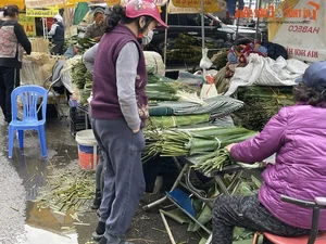 Inside Hanoi's Largest Dong Leaf Market Bustling for Tet Holiday - image 7