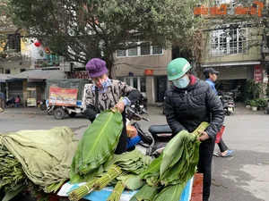 Inside Hanoi's Largest Dong Leaf Market Bustling for Tet Holiday - image 5