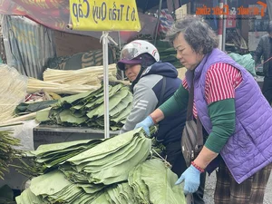Inside Hanoi's Largest Dong Leaf Market Bustling for Tet Holiday - image 4