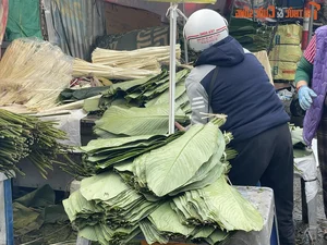 Inside Hanoi's Largest Dong Leaf Market Bustling for Tet Holiday - image 6